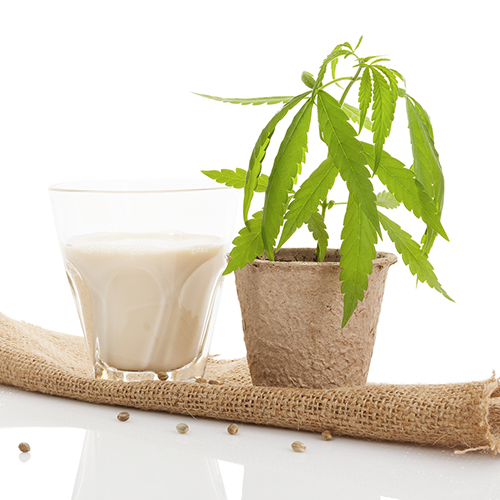 Hemp and the food industry